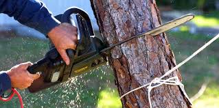 Best Soil Testing and Treatment  in Barton, NM